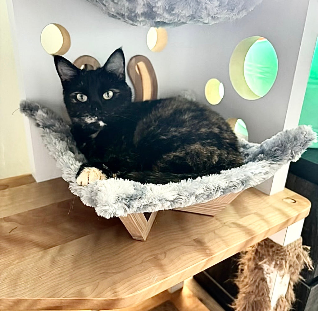 Hamac pour chat