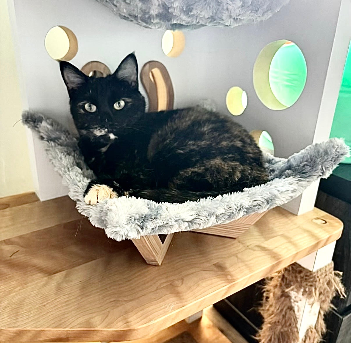 Hamac pour chat